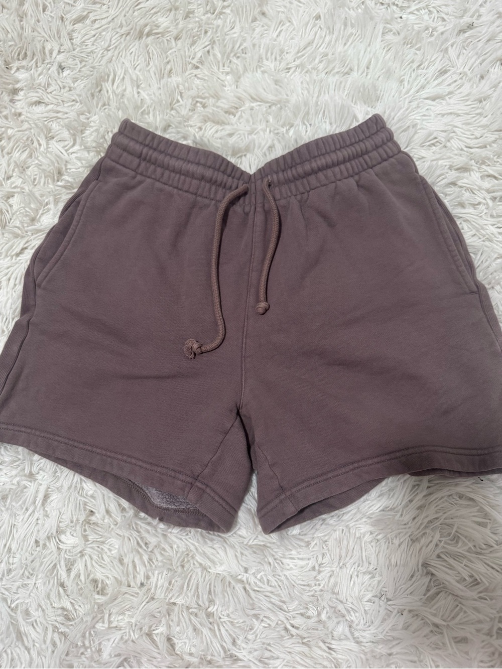 Aritzia TNA sweatshorts